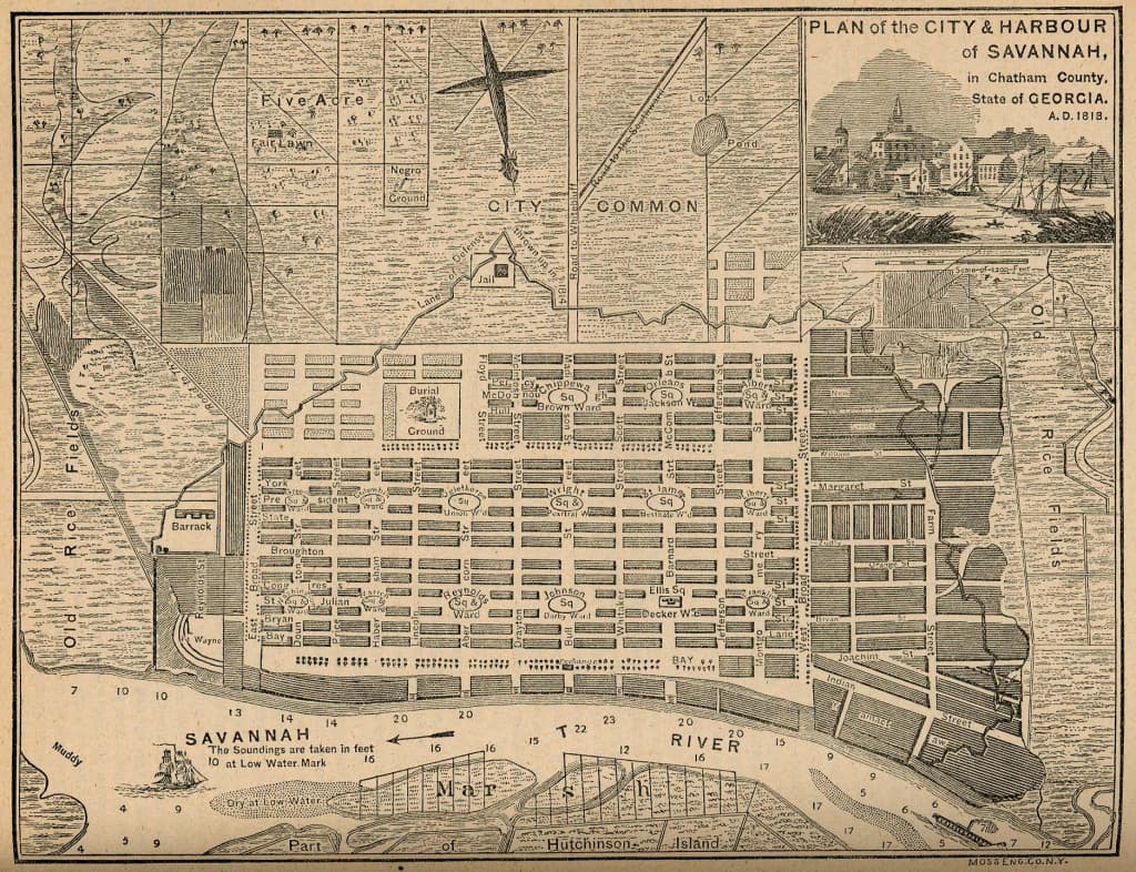 Savannah plan detail